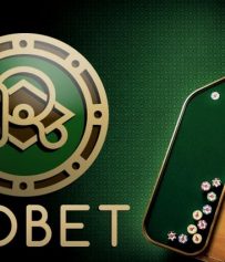 Обзор платежных методов в Риобет казино: как пополнить счет и вывести выигрыш